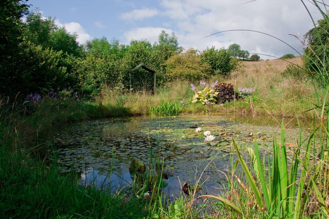 Ghyll Farm B & B Lamplugh Ngoại thất bức ảnh
